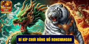 Bí kíp chơi Rồng Hổ Rongvang68 – Nắm gọn bí kíp trong tay chơi là thắng